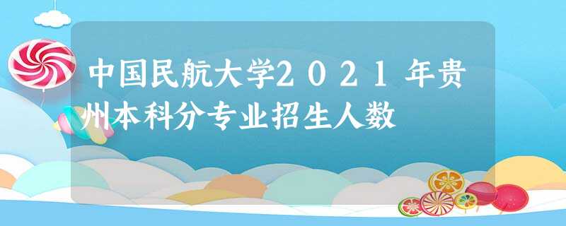 中国民航大学2021年贵州本科分专业招生人数