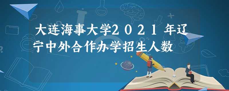 大连海事大学2021年辽宁中外合作办学招生人数