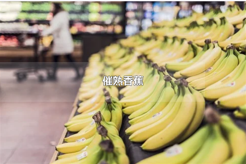 催熟香蕉 成熟的香蕉如何保存
