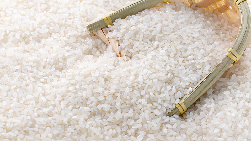粳米和大米的区别