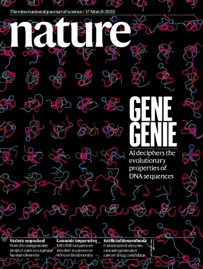 MIT设计深度学习框架登Nature封面，预测非编码区DNA突变