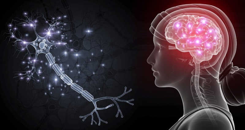 最孤独的神经网络：只有一个神经元，但会「影分身」